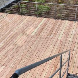Douglasie Terrasse in Singen